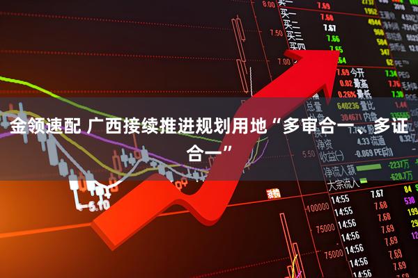 金领速配 广西接续推进规划用地“多审合一、多证合一”