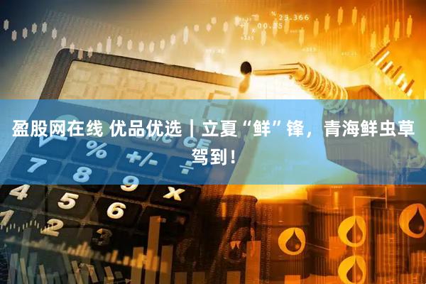 盈股网在线 优品优选｜立夏“鲜”锋，青海鲜虫草驾到！