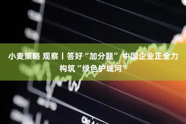 小麦策略 观察丨答好“加分题” 中国企业正全力构筑“绿色护城河”