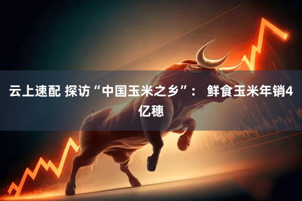 云上速配 探访“中国玉米之乡”： 鲜食玉米年销4亿穗