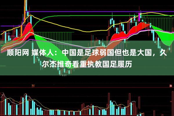 顺阳网 媒体人：中国是足球弱国但也是大国，久尔杰维奇看重执教国足履历