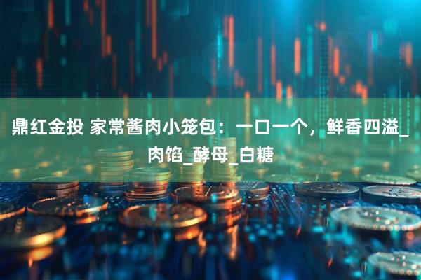 鼎红金投 家常酱肉小笼包：一口一个，鲜香四溢_肉馅_酵母_白糖