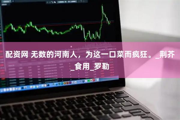 配资网 无数的河南人，为这一口菜而疯狂。_荆芥_食用_罗勒