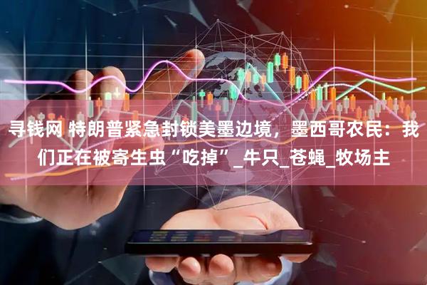 寻钱网 特朗普紧急封锁美墨边境，墨西哥农民：我们正在被寄生虫“吃掉”_牛只_苍蝇_牧场主