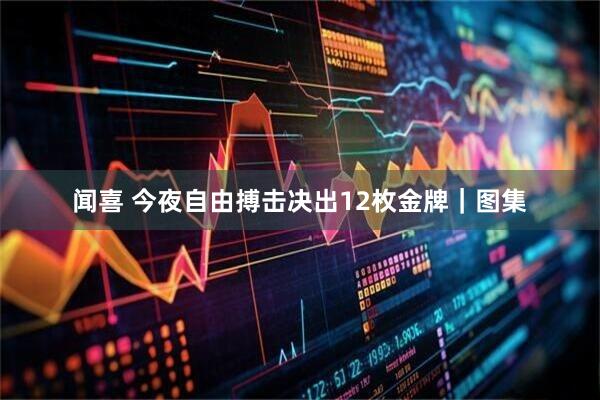 闻喜 今夜自由搏击决出12枚金牌｜图集