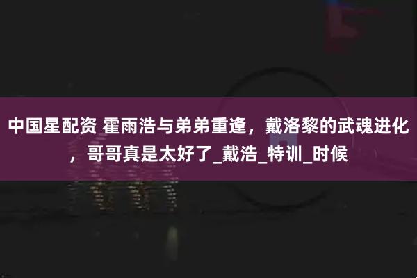 中国星配资 霍雨浩与弟弟重逢，戴洛黎的武魂进化，哥哥真是太好了_戴浩_特训_时候