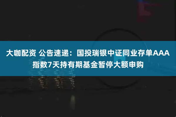 大咖配资 公告速递：国投瑞银中证同业存单AAA指数7天持有期基金暂停大额申购