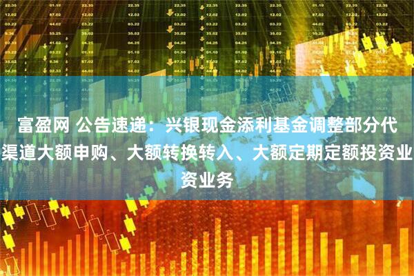富盈网 公告速递：兴银现金添利基金调整部分代销渠道大额申购、大额转换转入、大额定期定额投资业务