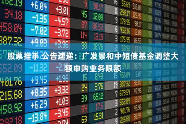 股票推手 公告速递：广发景和中短债基金调整大额申购业务限额