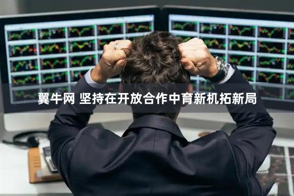 翼牛网 坚持在开放合作中育新机拓新局