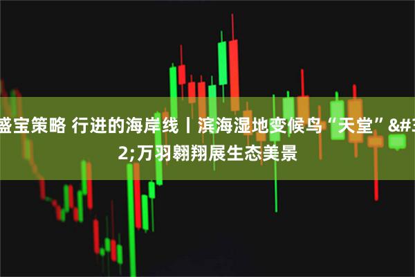 盛宝策略 行进的海岸线丨滨海湿地变候鸟“天堂” 万羽翱翔展生态美景