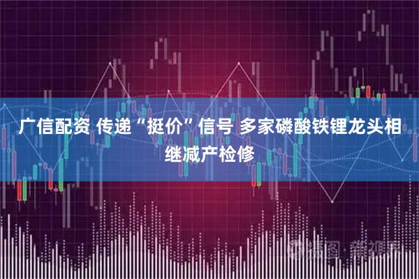 广信配资 传递“挺价”信号 多家磷酸铁锂龙头相继减产检修