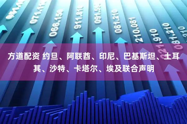 方道配资 约旦、阿联酋、印尼、巴基斯坦、土耳其、沙特、卡塔尔、埃及联合声明